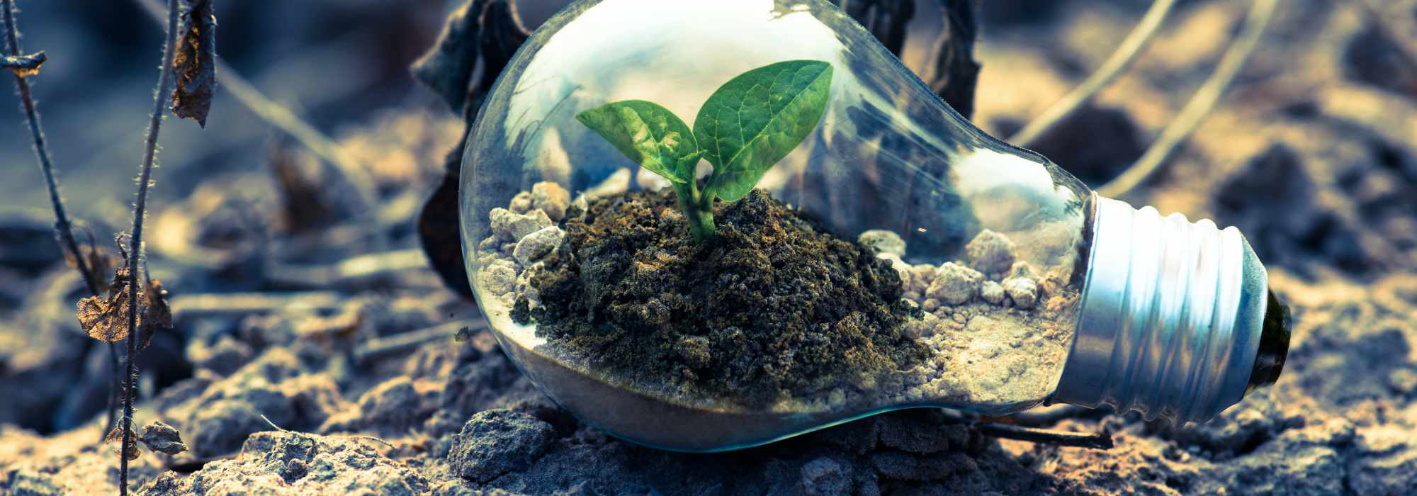 innovation-sustainability
